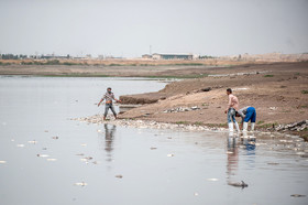 مرگ 2 میلیون ماهی در سد فشافویه